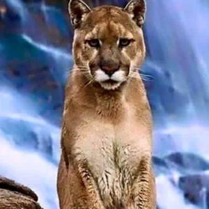 Meet your Posher, Lonnie